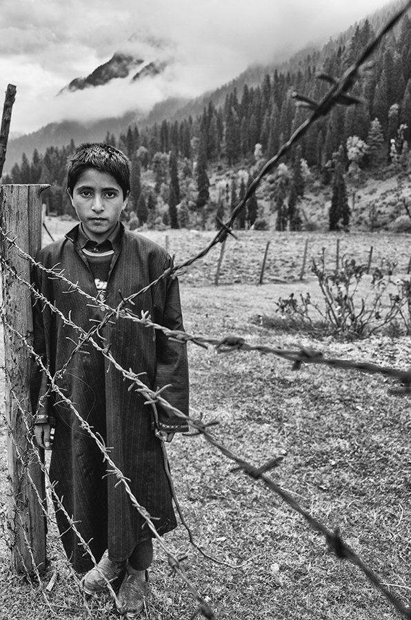 behind the fences