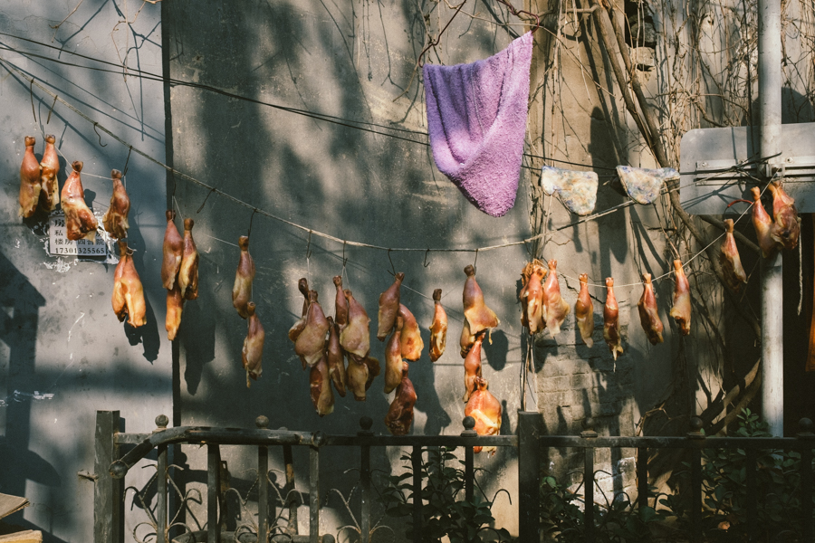 Hanging life