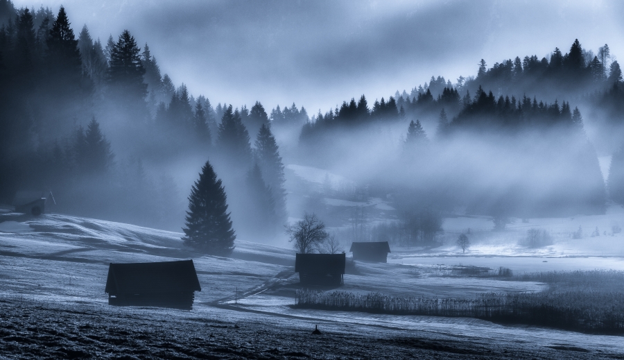 The Fog