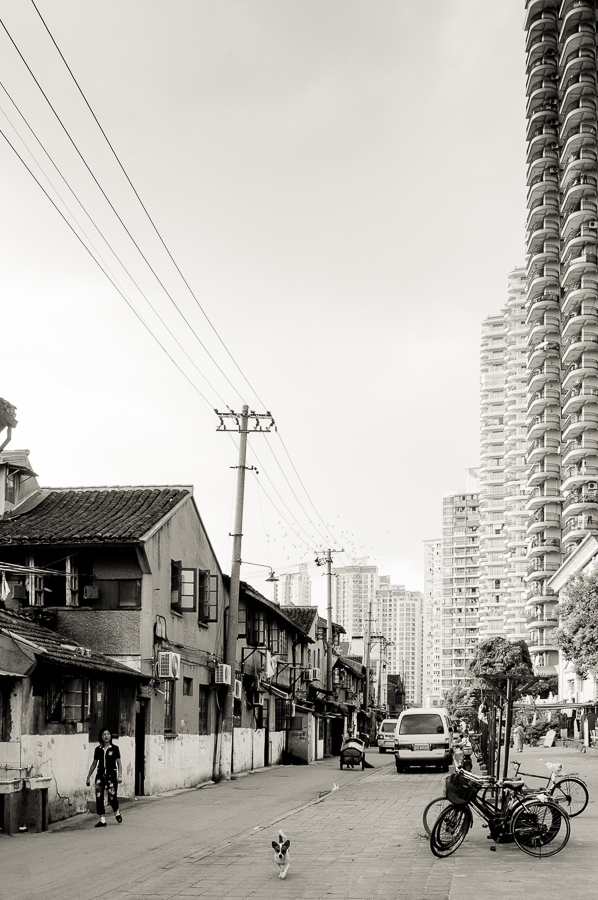 The Rising of Shanghai