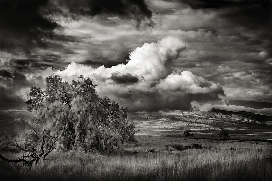 Cloudscape