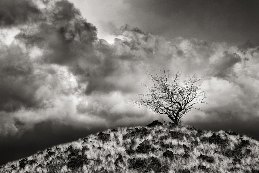 Cloudscape