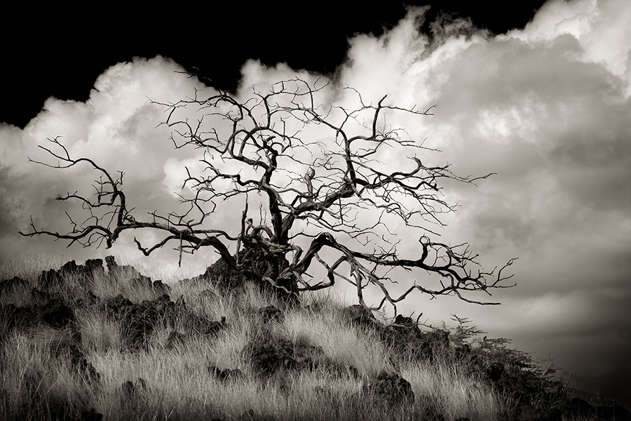 Cloudscape