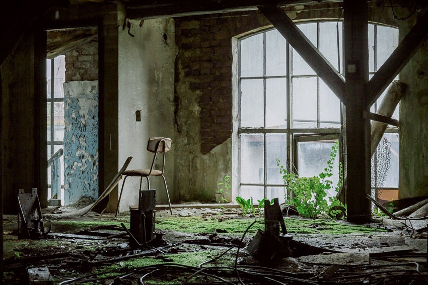 The World Without Us
