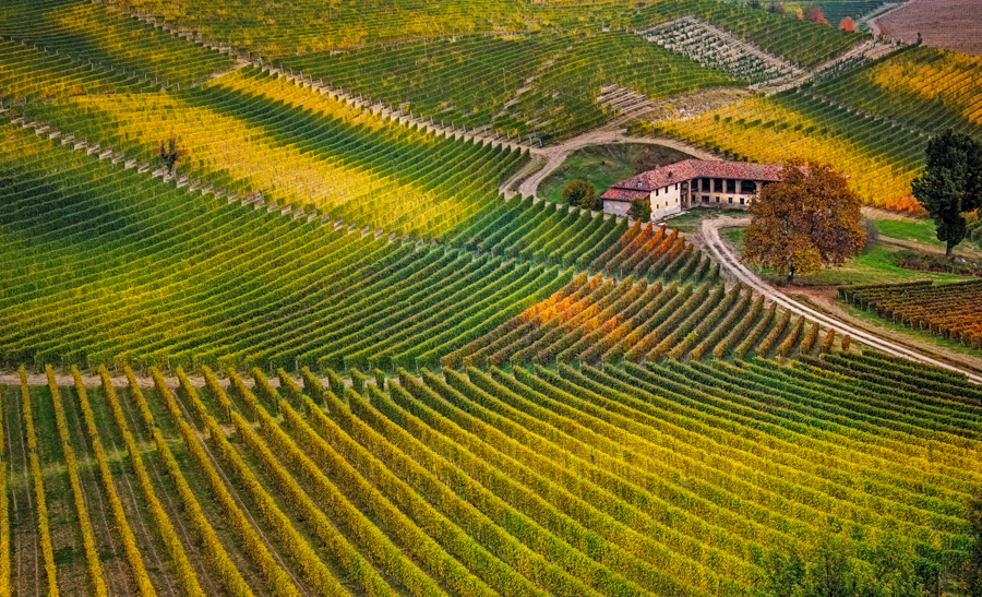 Barolo dall'Alto