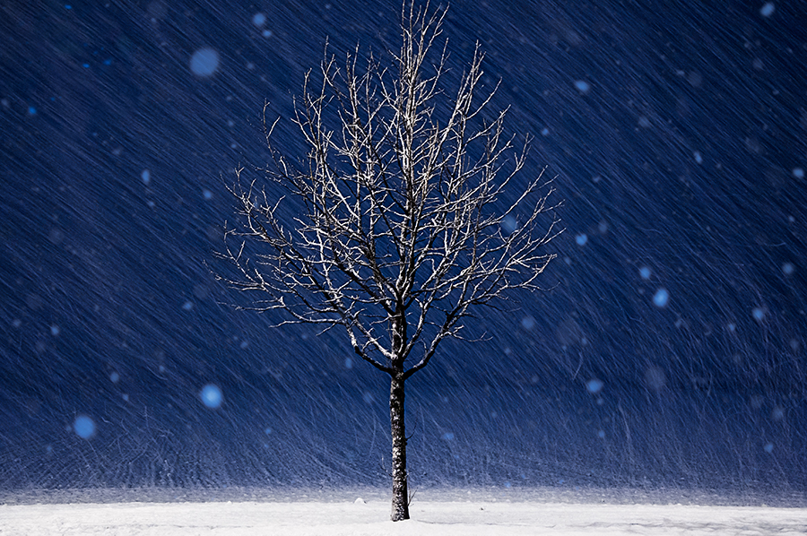 Alone in the blue
