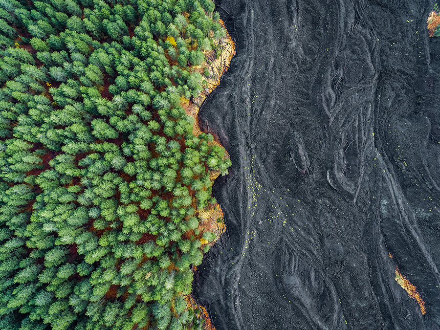 Lava meets Forest