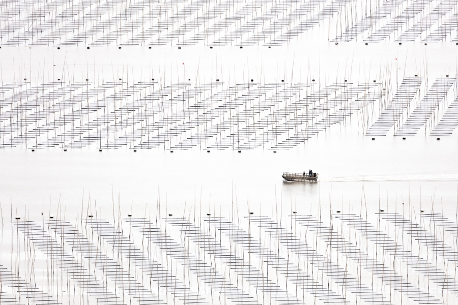 Coastal Geometries