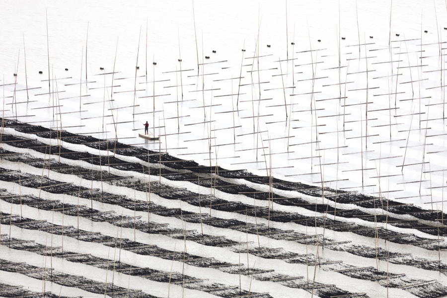 Coastal Geometries