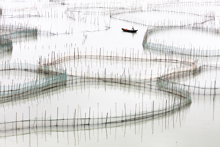Coastal Geometries