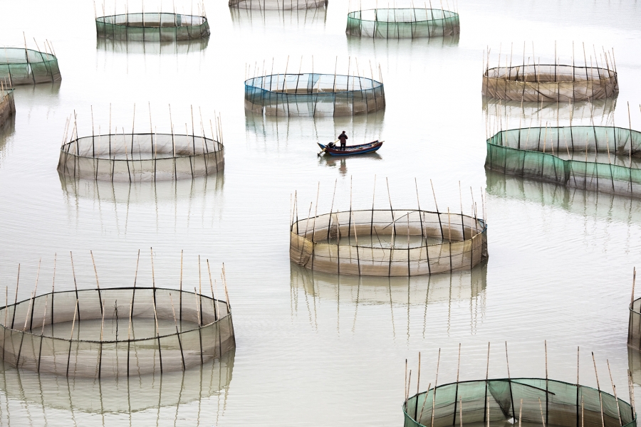 Coastal Geometries