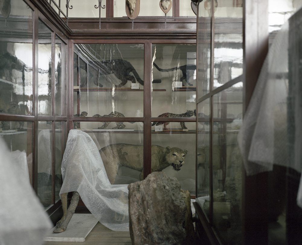 Anatomy of A Museum