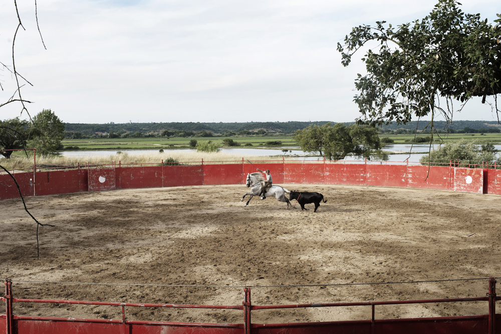Behind the Bullfighting