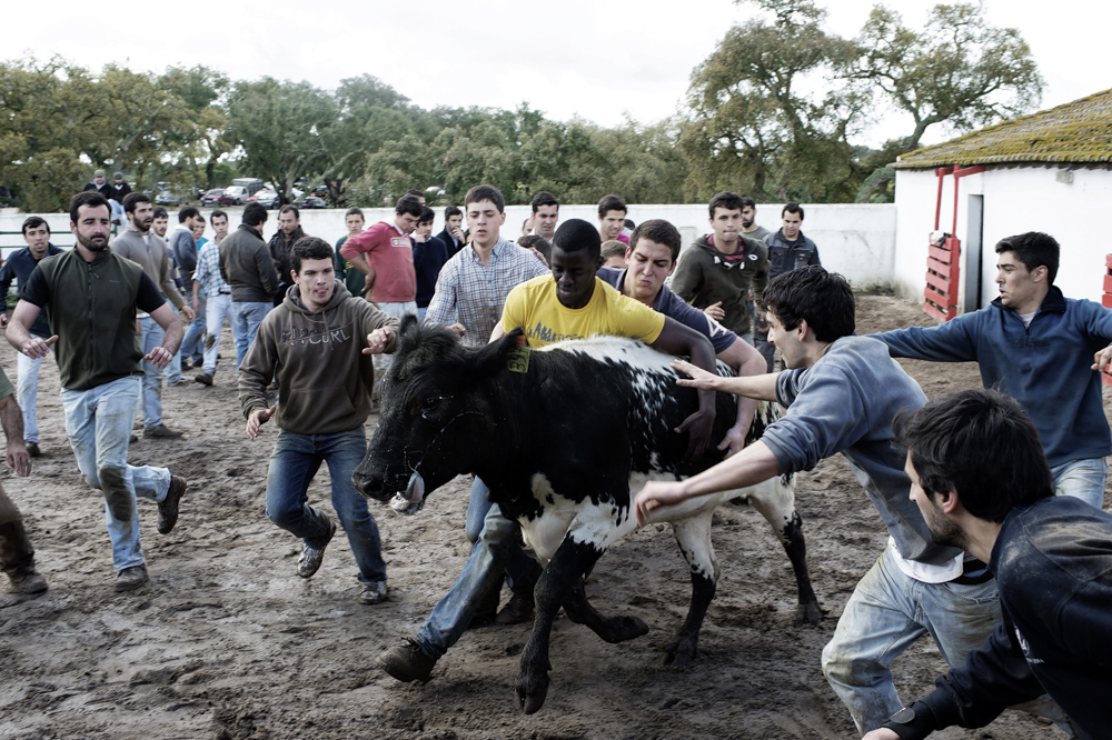 Behind the Bullfighting