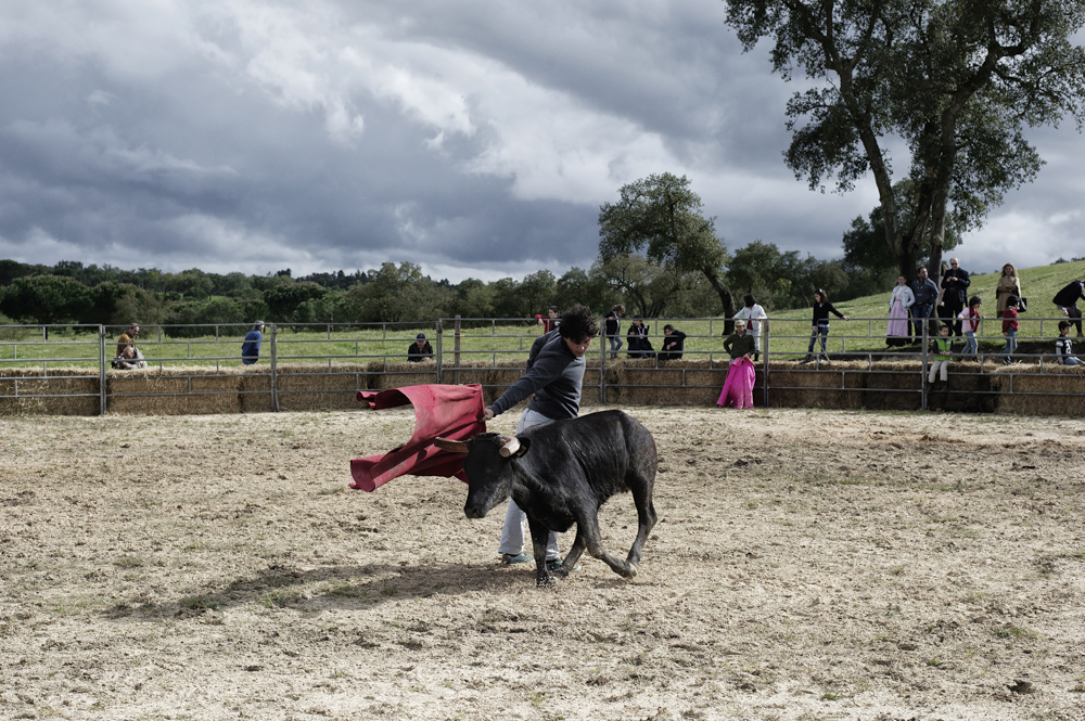 Behind the Bullfighting