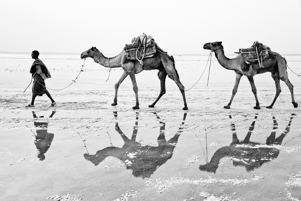 Salt of the Afar
