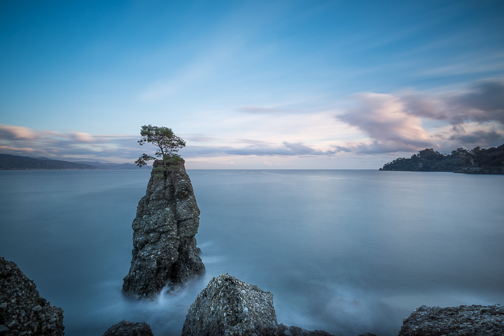 THE LONG SILENCE