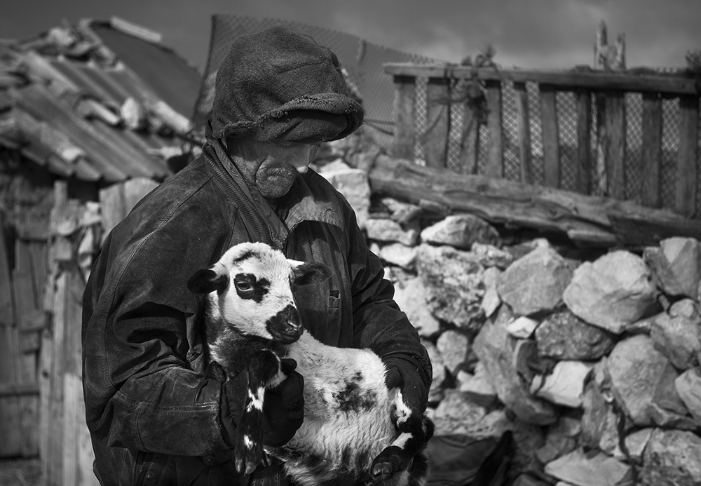 The Last Shepherds of Soria.