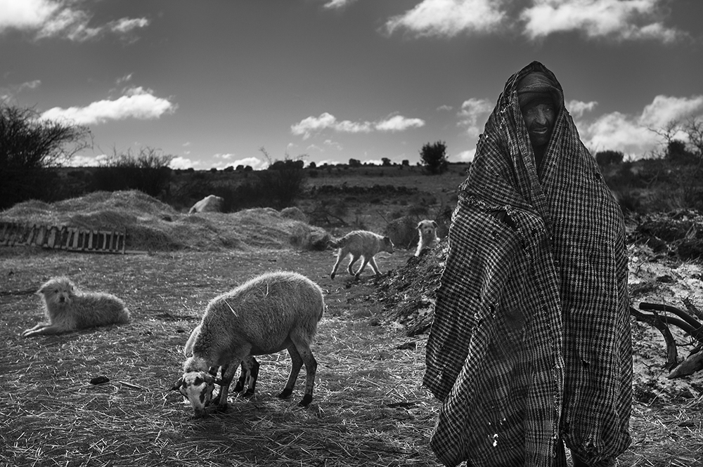 The Last Shepherds of Soria.