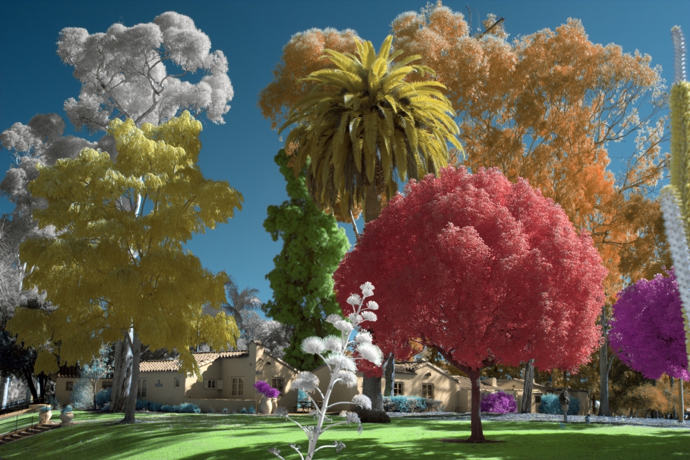 The Village