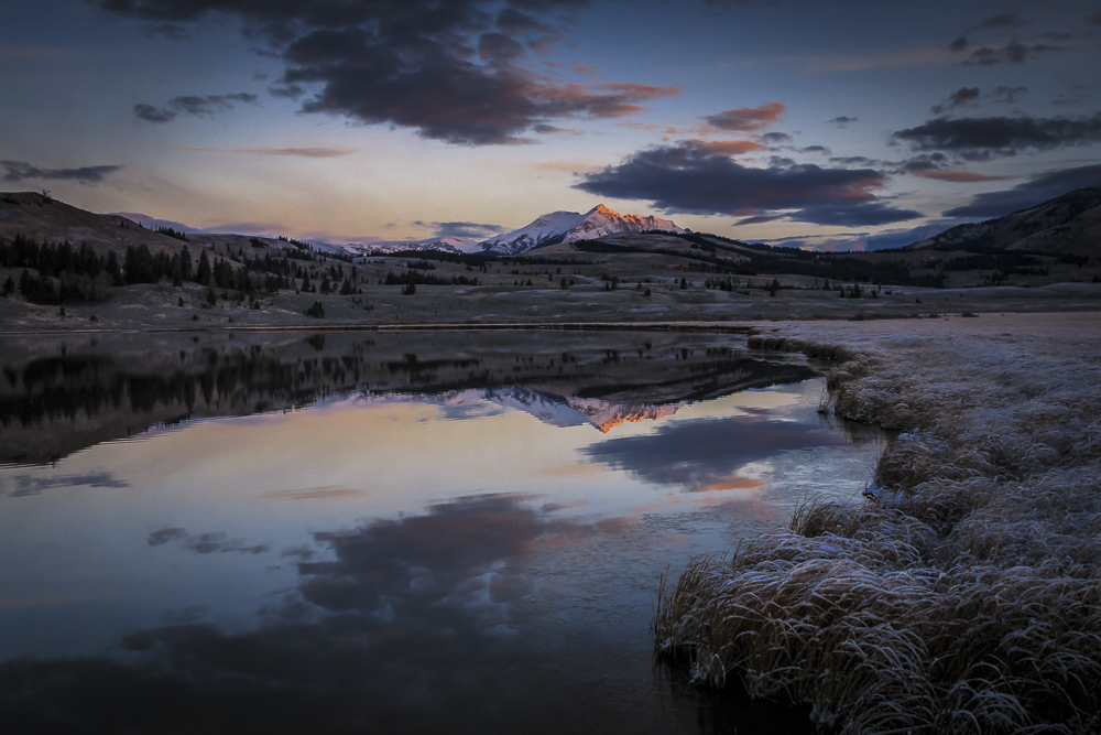Yellowstone Cold Mountains