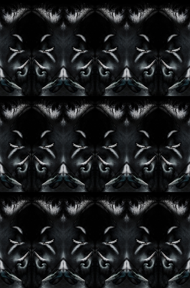 Inexplicable Faces 