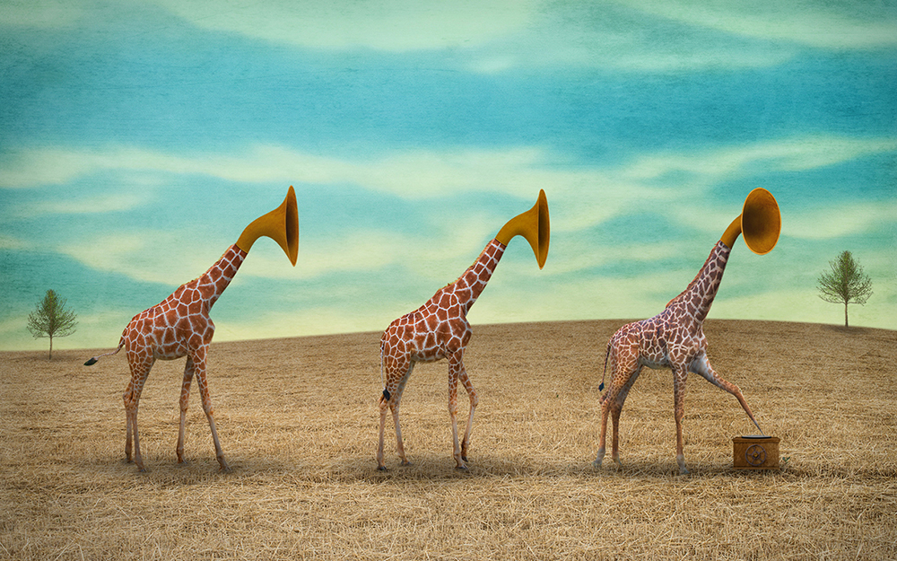 Whimsical Photo Surrealism