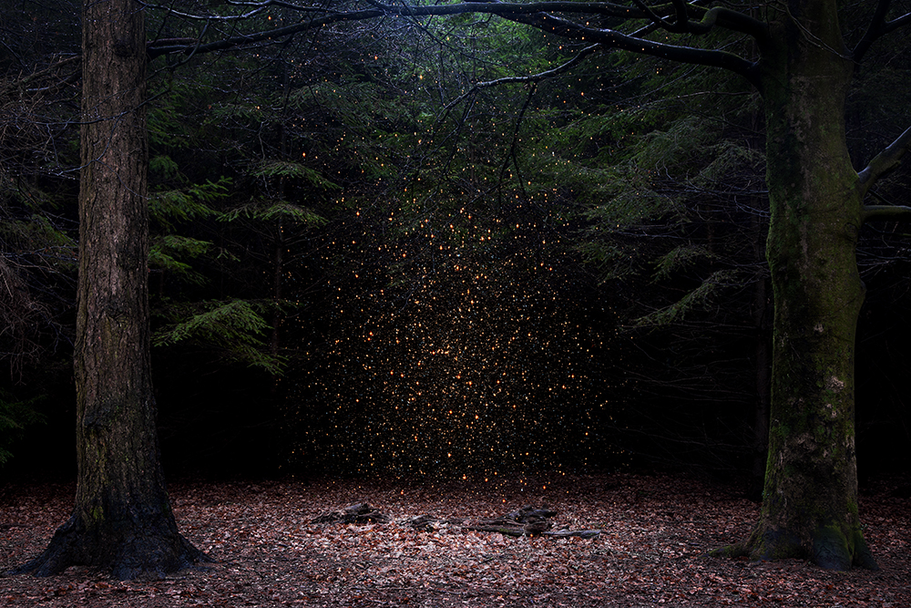 Stars