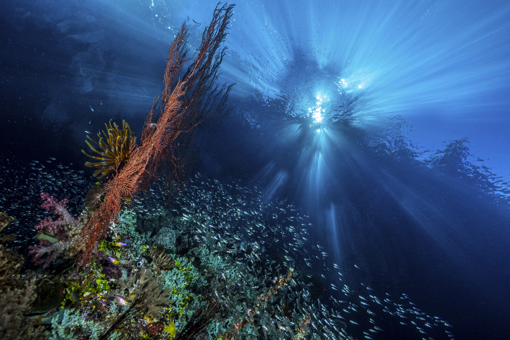 (untitled)
