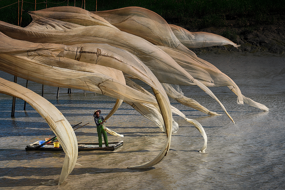 Waving Nets