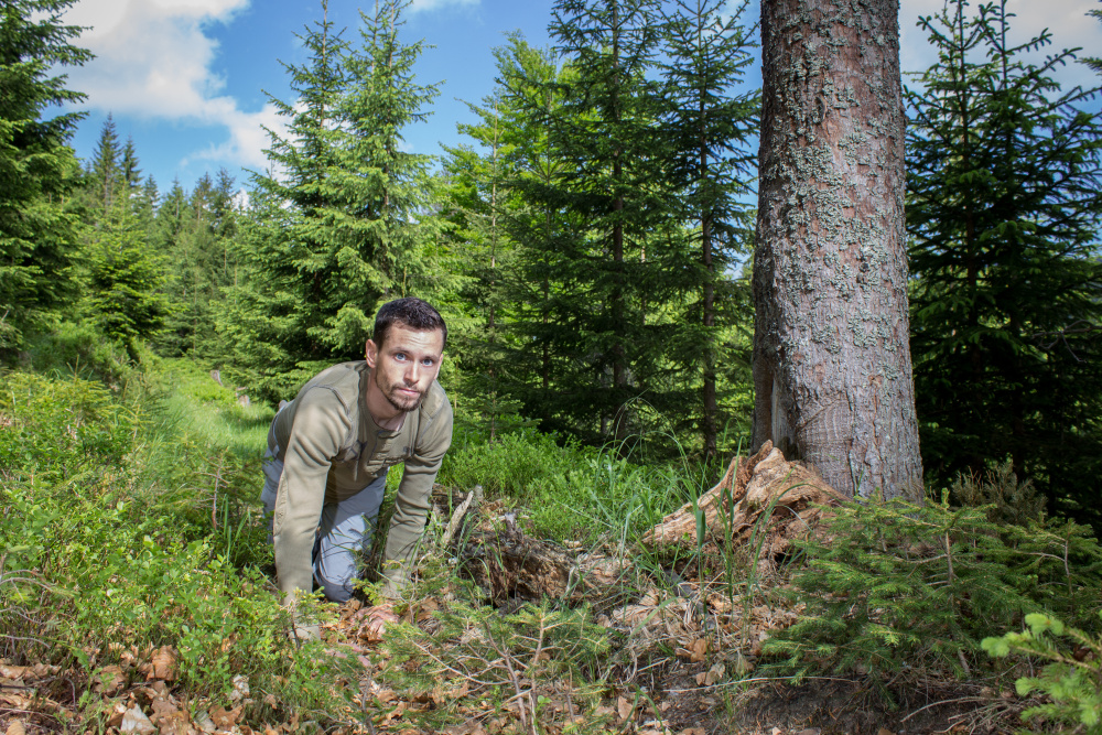 Life and death of the European tiger