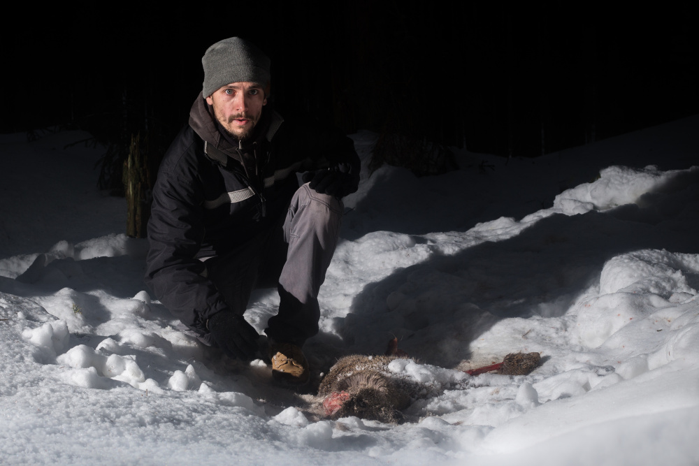 Life and death of the European tiger