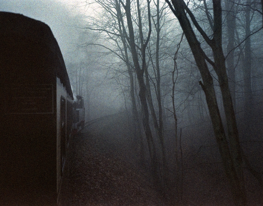 Fogway