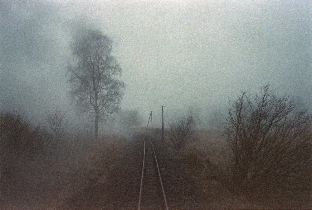Fogway
