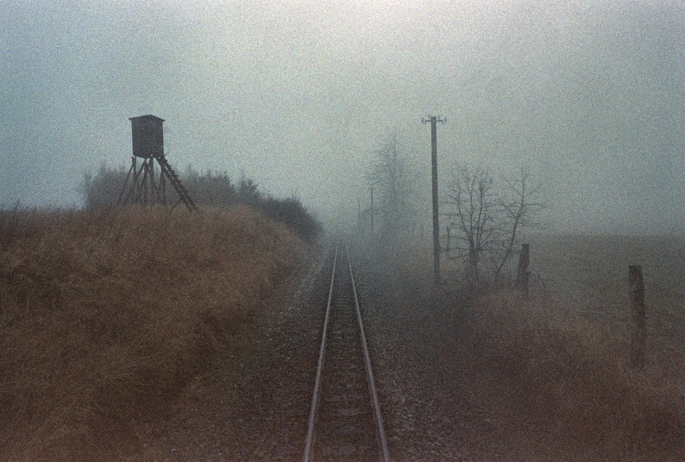Fogway