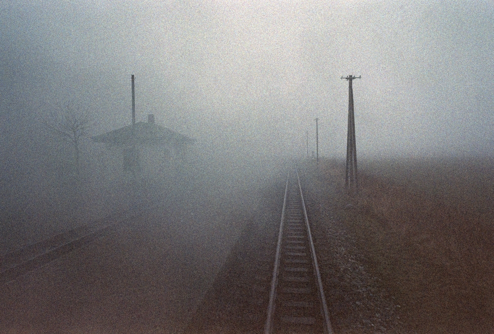 Fogway