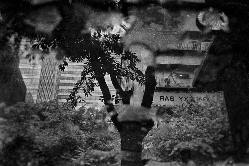 Rain makes a beautiful landscape.