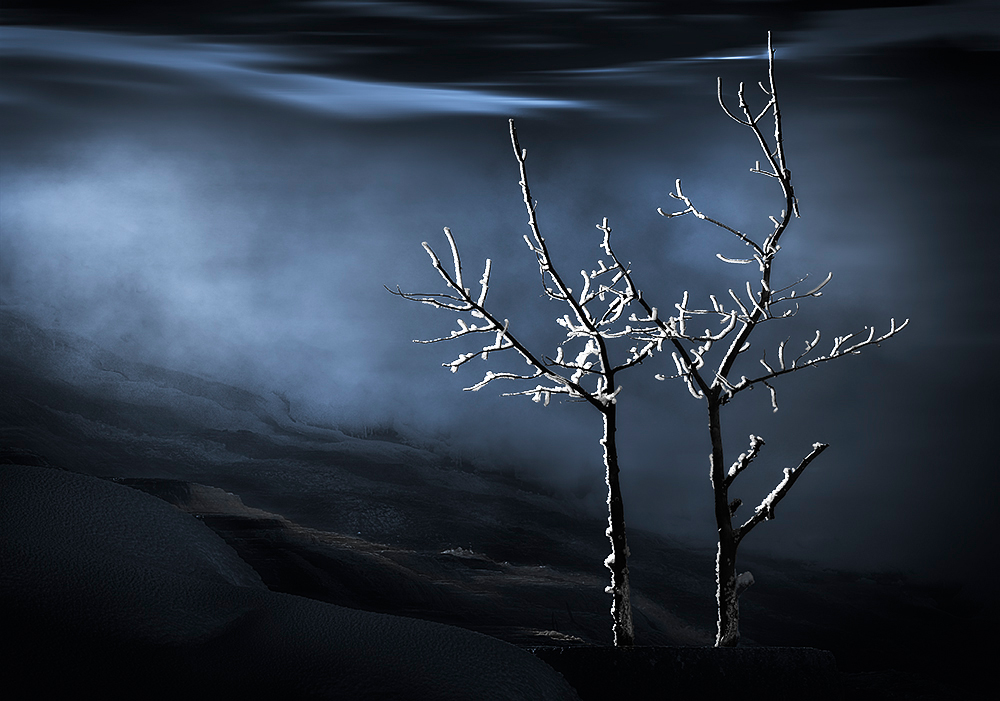 Frozen Delicacy