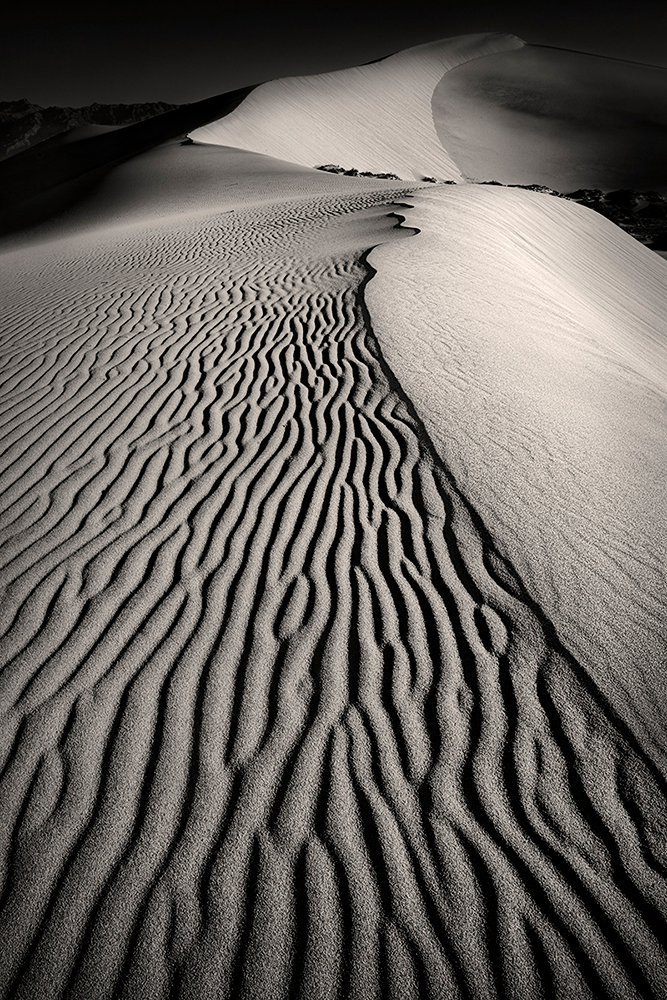 Sand Dune