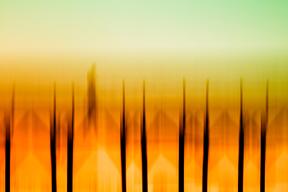 Lines
