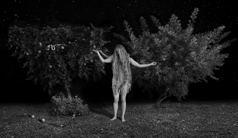 SNAPSHOTS FROM THE GARDEN OF EDEN