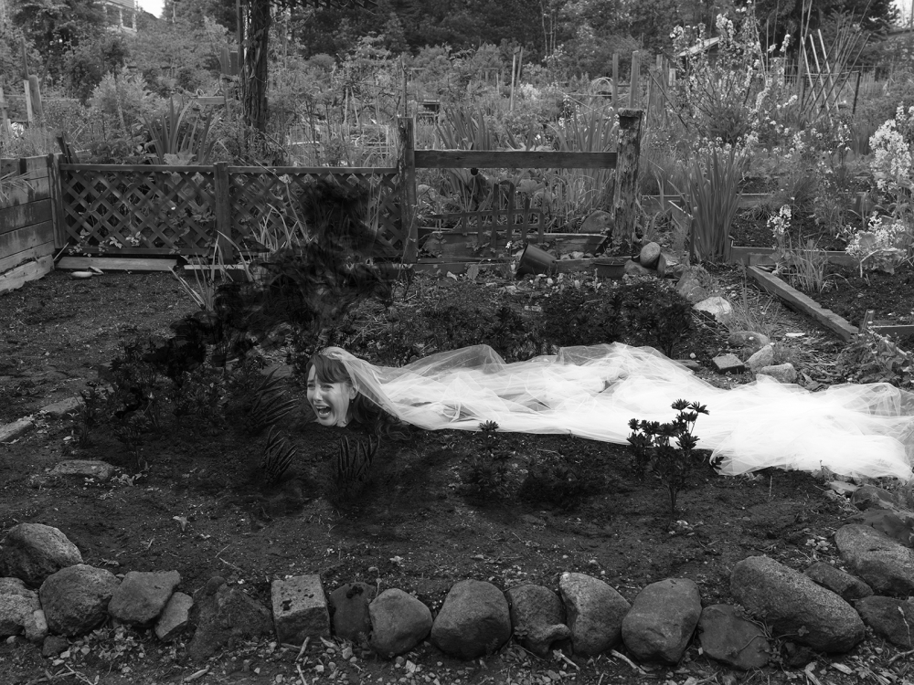 SNAPSHOTS FROM THE GARDEN OF EDEN