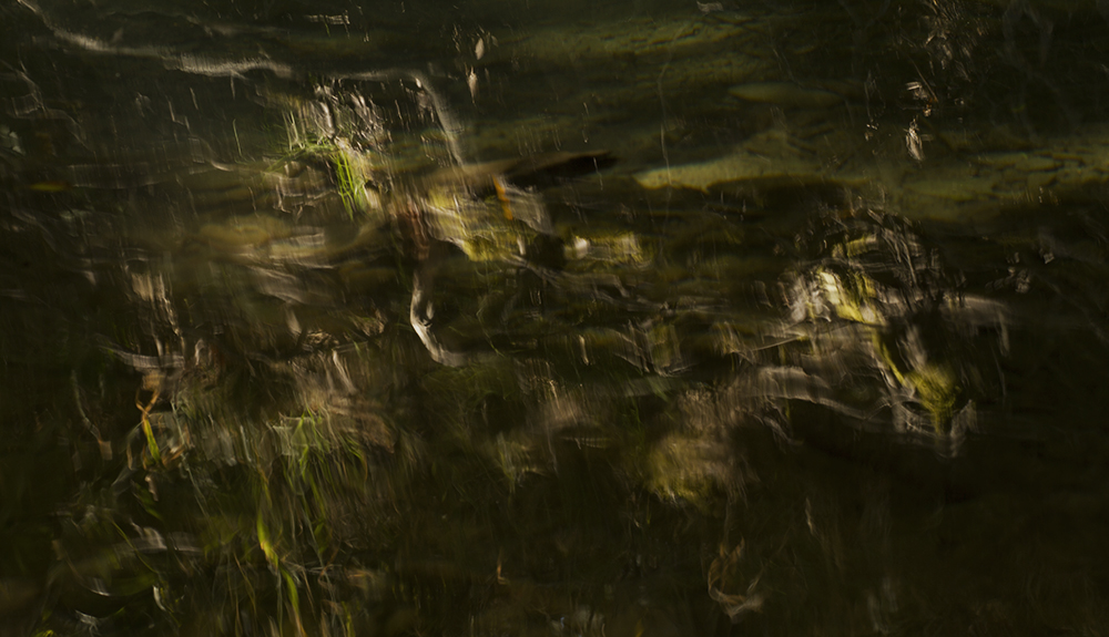 Faces of the river