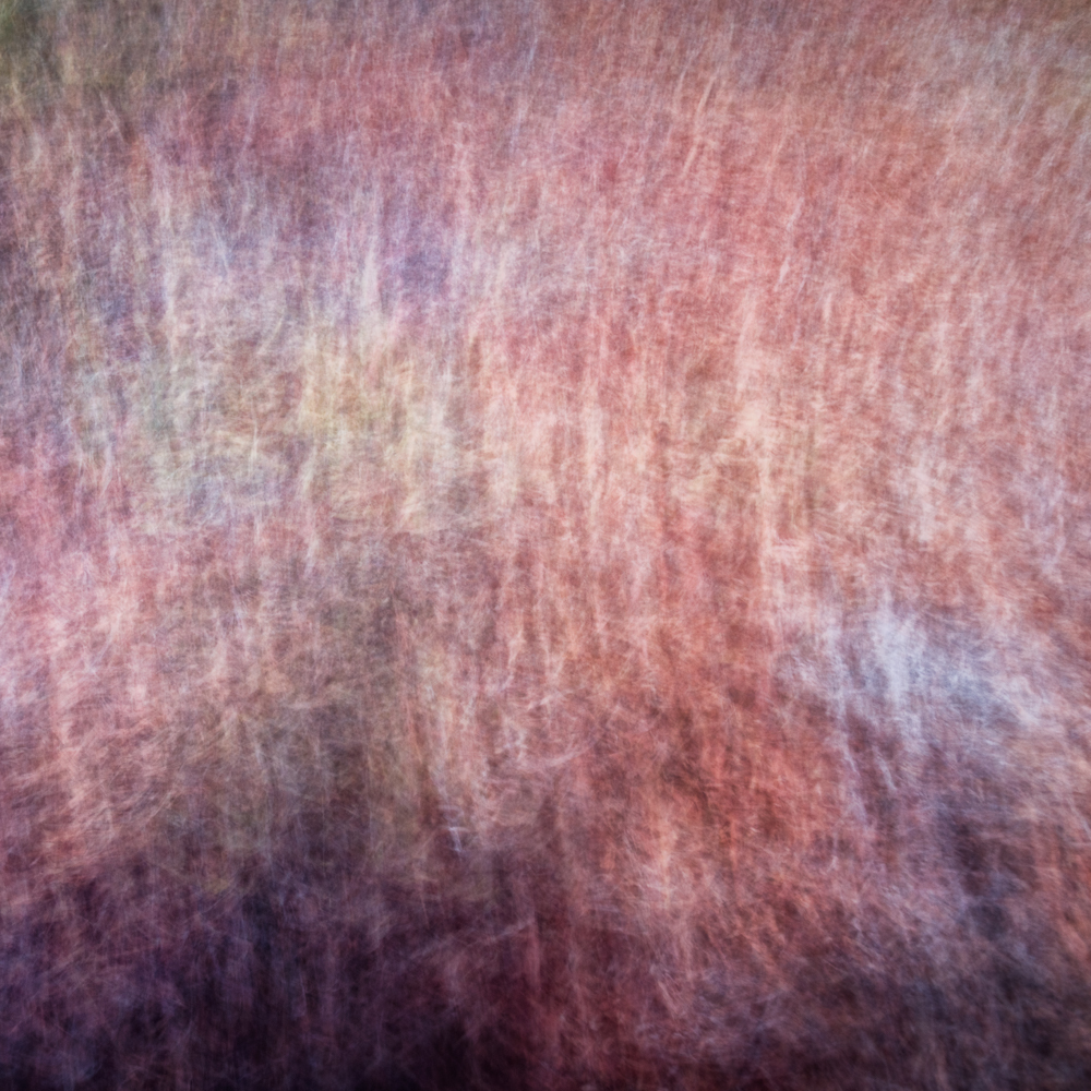 Daydream Fields