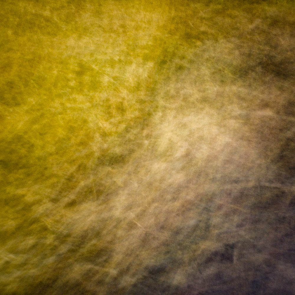 Daydream Fields
