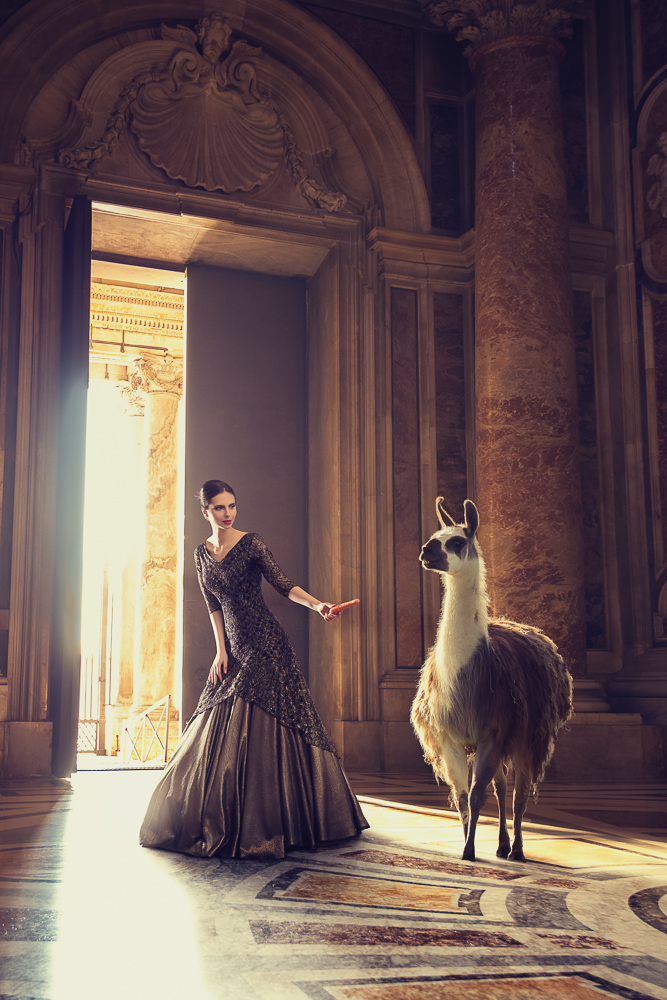 Animal Encounters