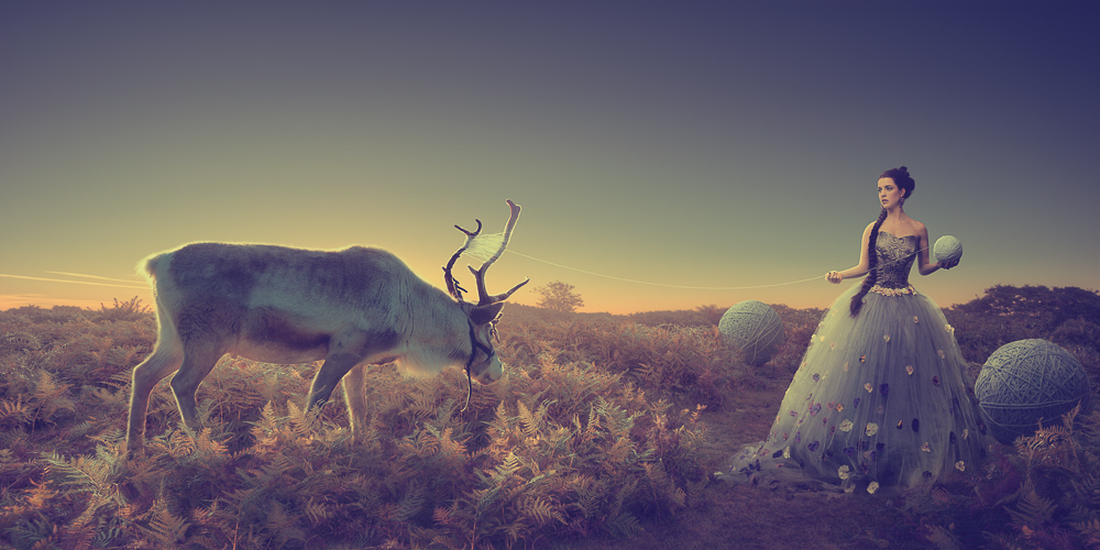 Animal Encounters