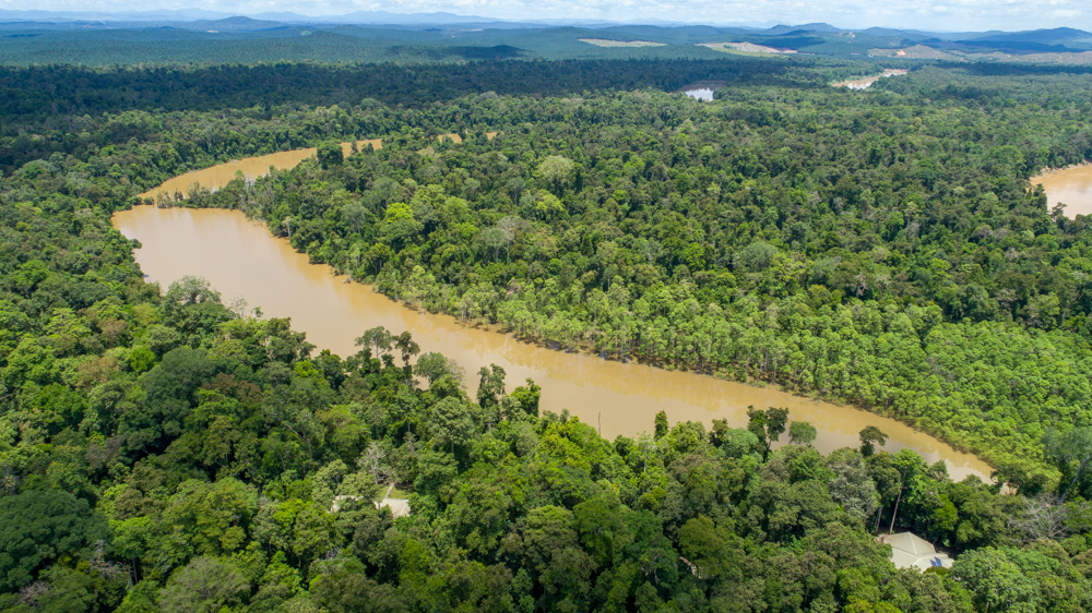 The scientists whose work is helping save Borneo's enigmatic animals