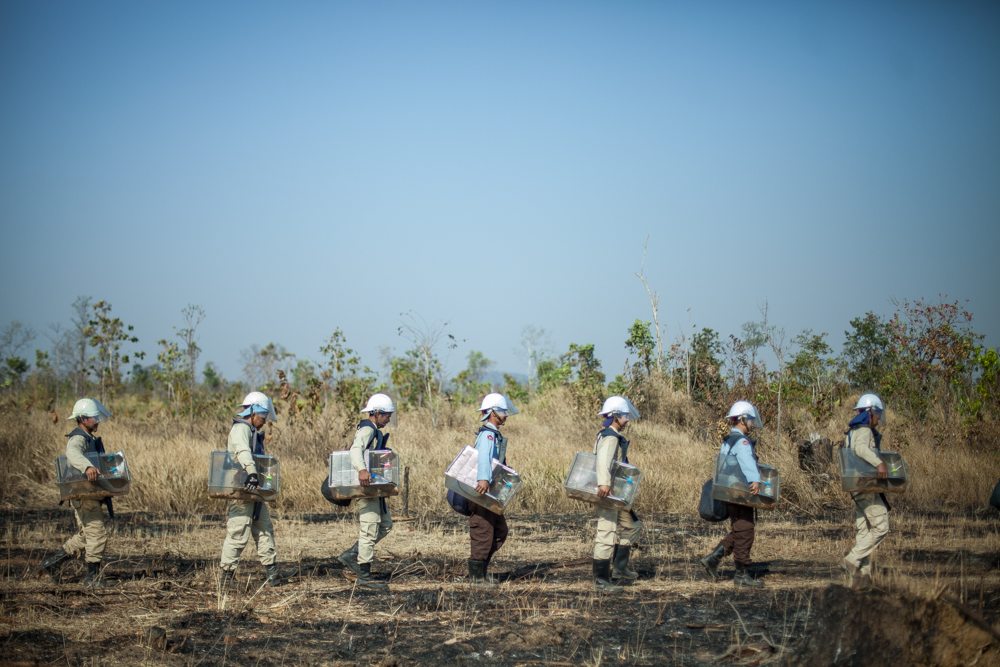 Cambodia's Landmine Crisis and the Hero Rats