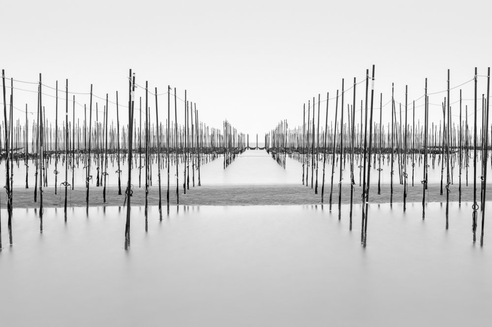 Seaweed Nets, Chitahanto, Japan